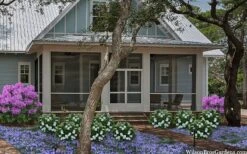 Snow Globe Gardenia - 3 Gallon Pot 13 Snow Globe Gardenia - 3 Gallon Pot -Azaleas Store gardenia jasminoides snow globe 2